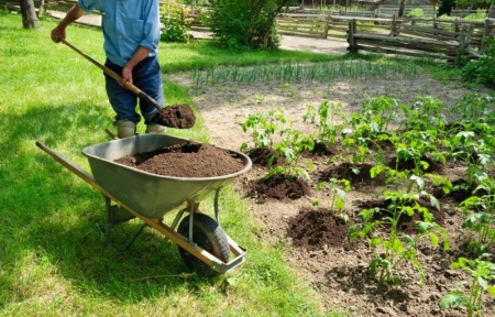 Nos engrais bio &agrave; H&oelig;nheim nourrissent durablement pelouses et massifs du jardin